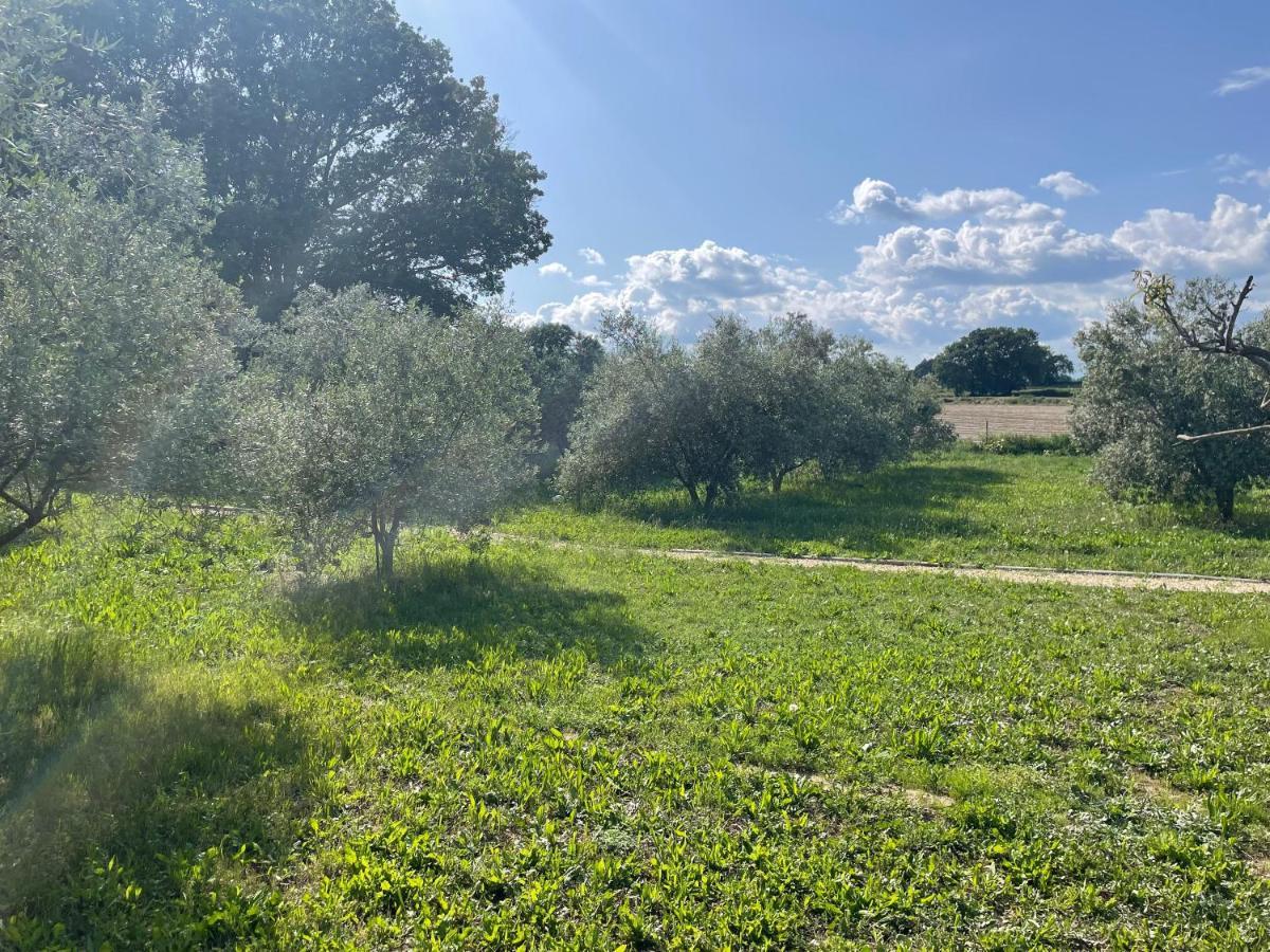 Sous Les Etoiles En Provence, Gite Les Grands Chenes Lurs Exterior foto