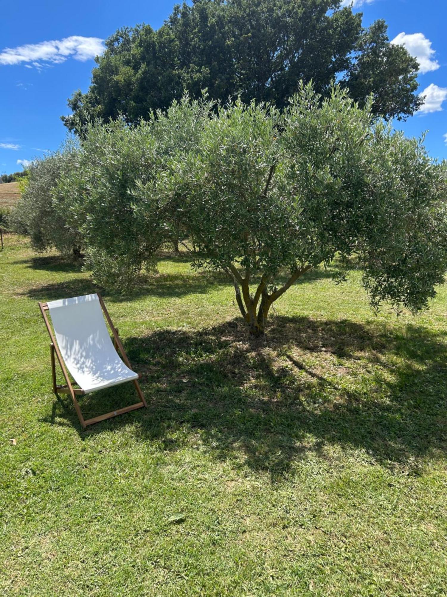 Sous Les Etoiles En Provence, Gite Les Grands Chenes Lurs Exterior foto