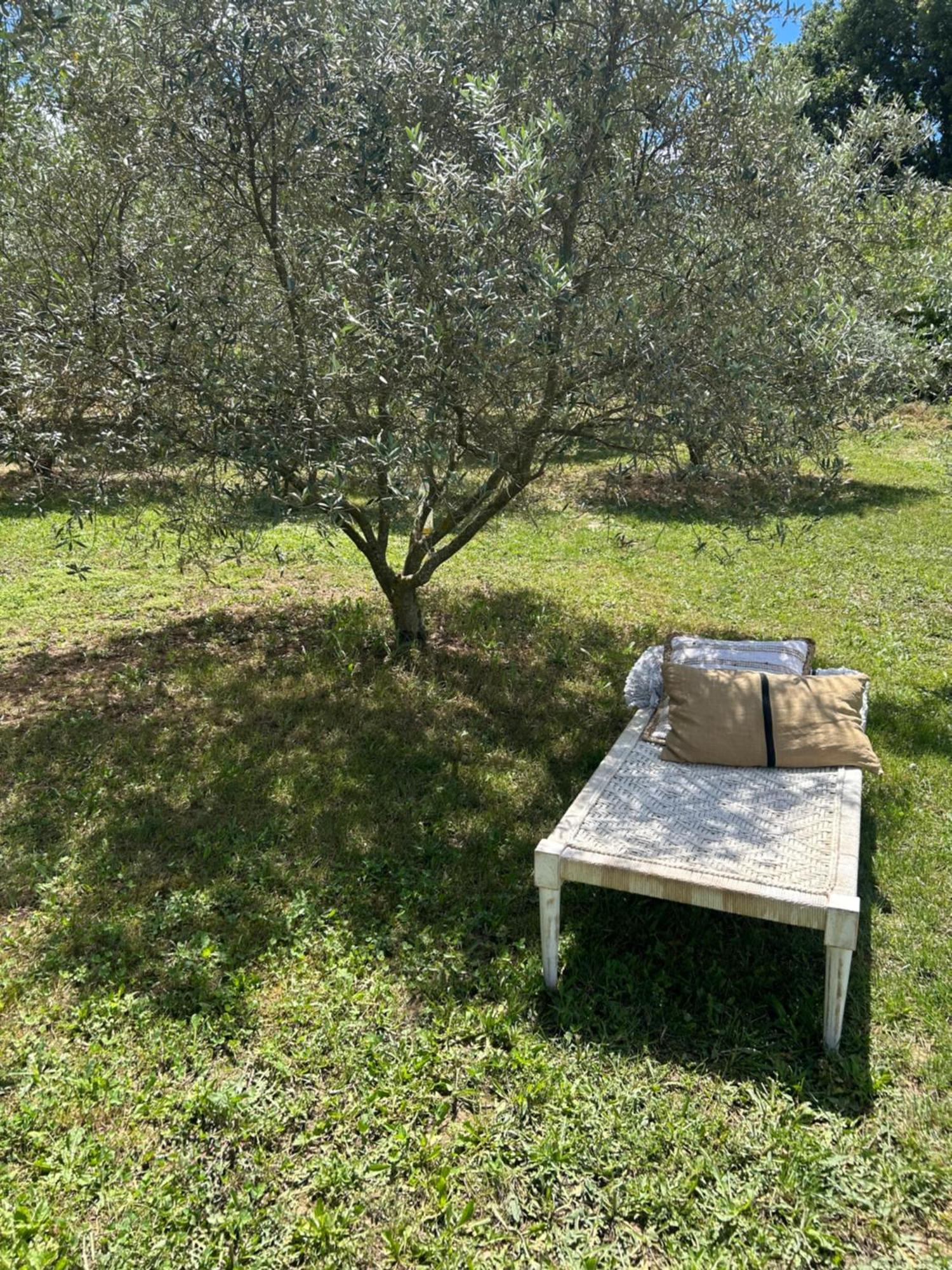 Sous Les Etoiles En Provence, Gite Les Grands Chenes Lurs Exterior foto